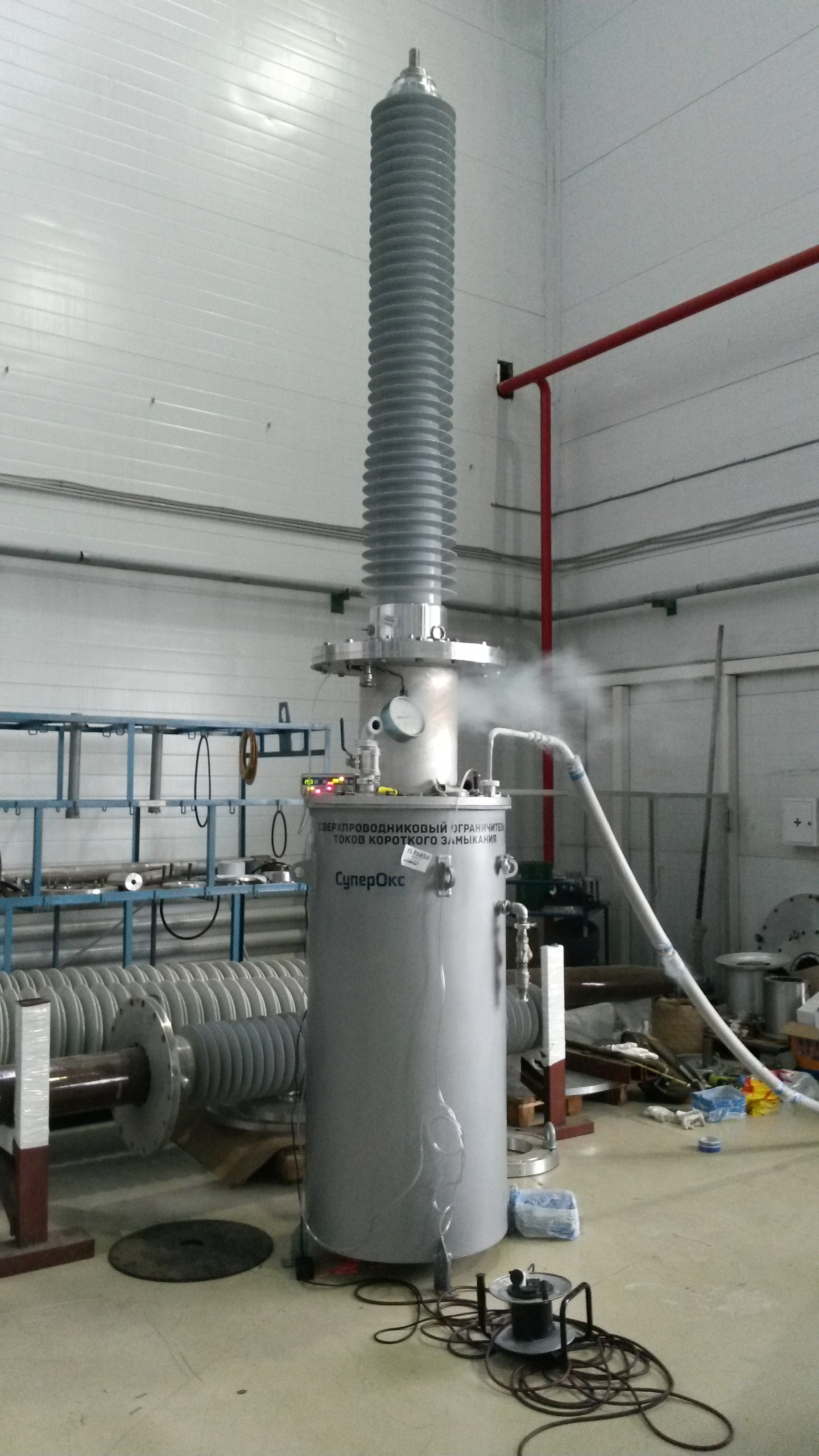 Test of a 220 kV RIN bushing in a liquid nitrogen cryostat at Izolyator plant