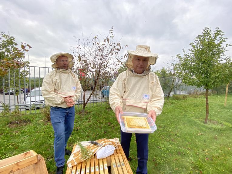 First honey from Izolyator's own apiary